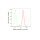 KD-Validated HDAC4 Rabbit mAb (20 μl)