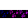 KD-Validated HDAC4 Rabbit mAb (20 μl)