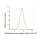 KD-Validated GLNS Rabbit mAb (20 μl)