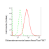 KD-Validated GLNS Rabbit mAb (20 μl)