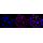 KD-Validated G6PD Rabbit mAb (20 μl)