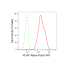 KD-Validated PCAF Rabbit mAb (20 μl)