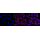 KD-Validated PCAF Rabbit mAb (20 μl)