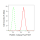 KD-Validated Flotillin 1 Rabbit mAb (20 μl)
