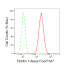 KD-Validated Flotillin 1 Rabbit mAb (20 μl)