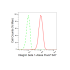 KD-Validated CD29 Rabbit mAb (20 μl)