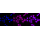 KD-Validated CD29 Rabbit mAb (20 μl)