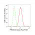 KD-Validated PRAS40 Rabbit mAb (20 μl)