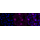 KD-Validated PRAS40 Rabbit mAb (20 μl)