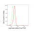 KD-Validated LGMN Rabbit mAb (20 μl)
