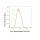 KD-Validated PKC alpha Rabbit mAb (20 μl)