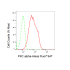 KD-Validated PKC alpha Rabbit mAb (20 μl)