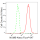 KD-Validated NUMB Rabbit mAb (20 μl)