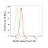 KD-Validated MCM7 Rabbit mAb (20 μl)