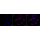 KD-Validated Arp2 Rabbit mAb (20 μl)