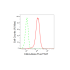 KD-Validated Cdk4 Rabbit mAb (20 μl)