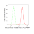 KD-Validated CD29 Rabbit mAb (20 μl)