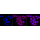 KD-Validated CD29 Rabbit mAb (20 μl)