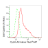 KD-Validated CCNA Rabbit mAb (20 μl)
