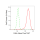 KD-Validated Cdk4 Rabbit mAb (20 μl)