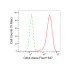 KD-Validated Cdk4 Rabbit mAb (20 μl)