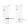 KD-Validated Cdk4 Rabbit mAb (20 μl)