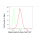 KD-Validated CD49e Rabbit mAb (20 μl)