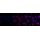 KD-Validated CD49e Rabbit mAb (20 μl)