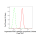 KD-Validated EIF2C Rabbit mAb (20 μl)