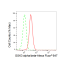 KD-Validated GSK3A Rabbit mAb (20 μl)