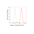 KD-Validated Flotillin 1 Rabbit mAb (20 μl)