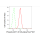 KD-Validated Phospho-AKT1 (S129) Rabbit mAb (20 μl)