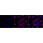 KD-Validated Smad4 Rabbit mAb (20 μl)