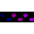 KD-Validated CPP32B Rabbit mAb (20 μl)