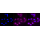 KD-Validated GSK3B Rabbit mAb (20 μl)