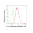 KD-Validated ACL Rabbit mAb (20 μl)