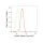 KD-Validated MCM7 Rabbit mAb (20 μl)