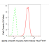 KD-Validated ACTSA Rabbit mAb (20 μl)