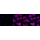KD-Validated ACTSA Rabbit mAb (20 μl)