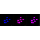 KD-Validated EHMT2 Rabbit mAb (20 μl)