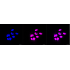 KD-Validated EHMT2 Rabbit mAb (20 μl)