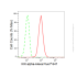 KD-Validated IKK alpha Rabbit mAb (20 μl)