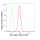 KD-Validated Src Rabbit mAb (20 μl)
