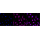KD-Validated Src Rabbit mAb (20 μl)