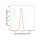 KD-Validated Src Rabbit mAb (20 μl)