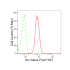 KD-Validated Src Rabbit mAb (20 μl)