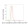 KD-Validated BMP6 Rabbit mAb (20 μl)