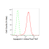 KD-Validated AQP1 Rabbit mAb (20 μl)