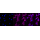 KD-Validated AQP1 Rabbit mAb (20 μl)