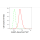 KD-Validated BubR1 Rabbit mAb (20 μl)
